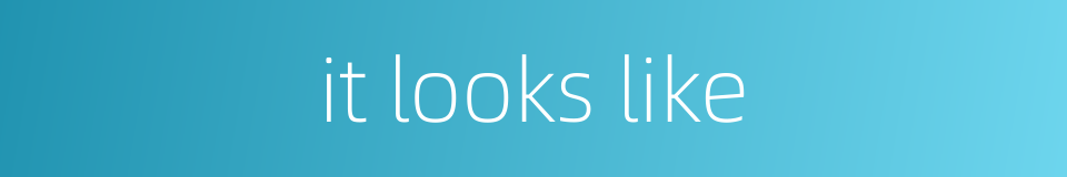 it looks like的同义词