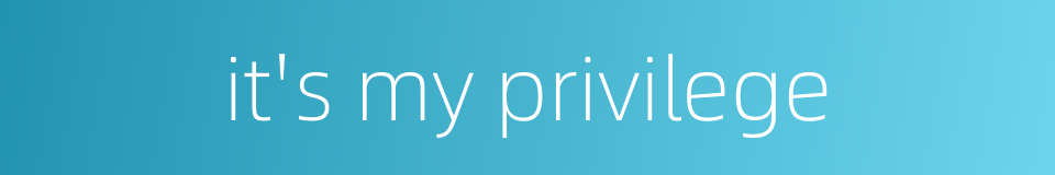 it's my privilege的同义词