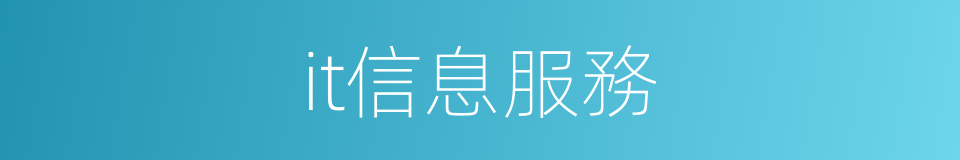 it信息服務的同義詞
