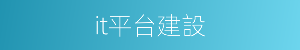 it平台建設的同義詞