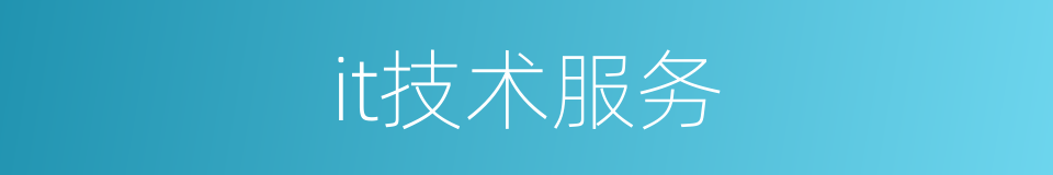it技术服务的同义词