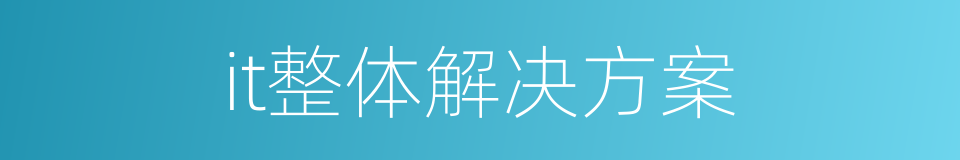 it整体解决方案的同义词