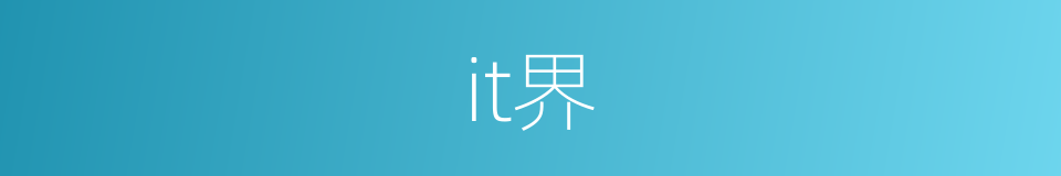 it界的同义词
