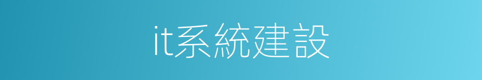 it系統建設的同義詞