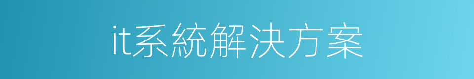 it系統解決方案的同義詞