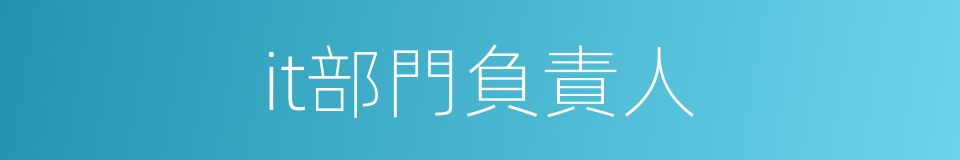 it部門負責人的同義詞