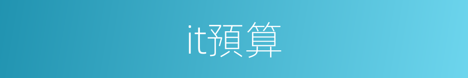 it預算的同義詞