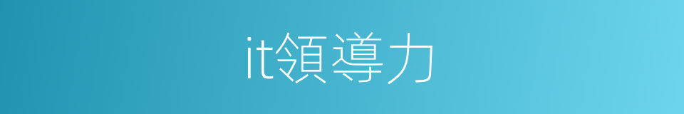 it領導力的同義詞