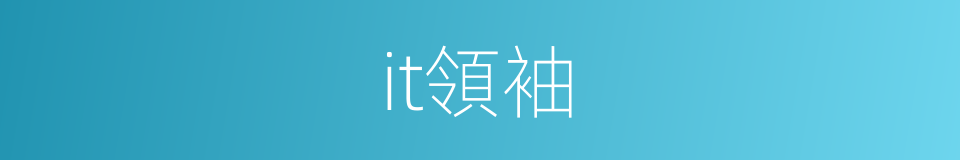 it領袖的同義詞