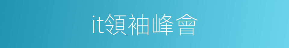 it領袖峰會的同義詞