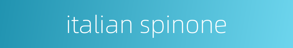 italian spinone的同义词