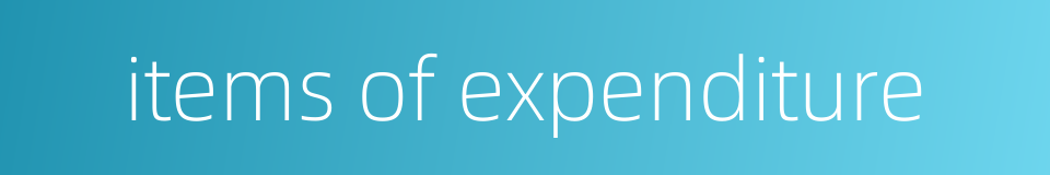 items of expenditure的同义词