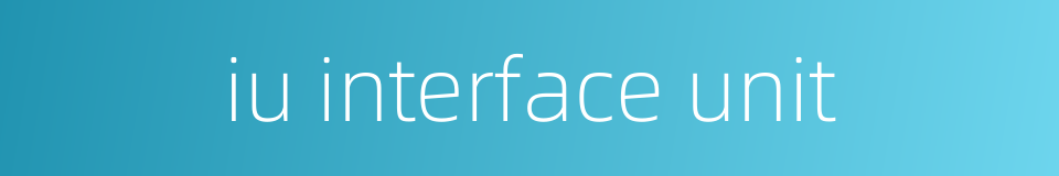 iu interface unit的同义词