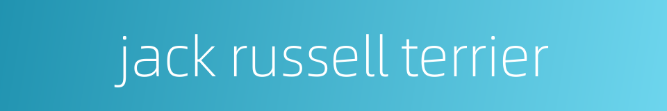 jack russell terrier的同义词