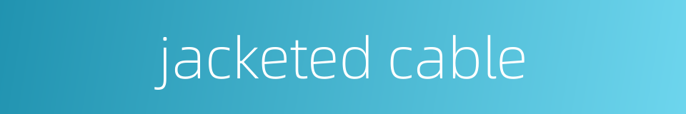 jacketed cable的同义词
