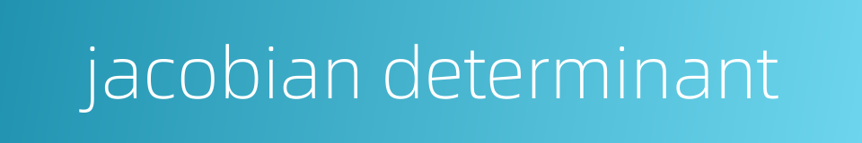 jacobian determinant的同义词