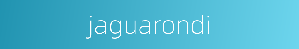 jaguarondi的同义词