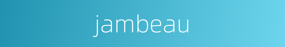 jambeau的同义词