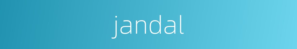 jandal的同义词