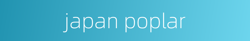 japan poplar的同义词
