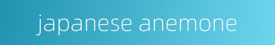 japanese anemone的同义词