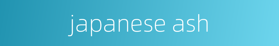 japanese ash的同义词