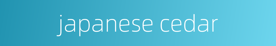japanese cedar的同义词