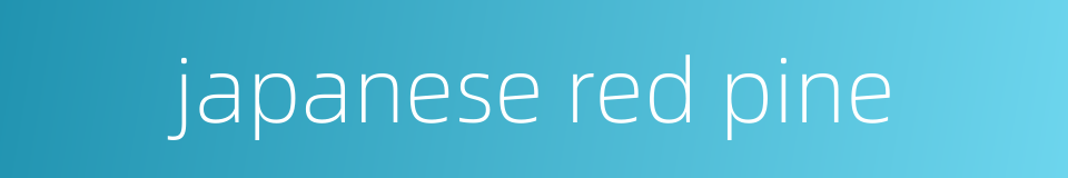 japanese red pine的同义词