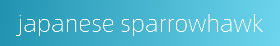 japanese sparrowhawk的同义词