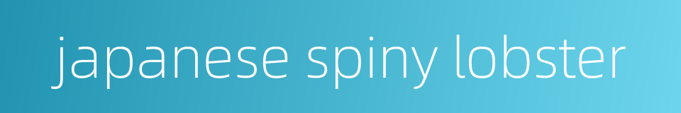 japanese spiny lobster的同义词