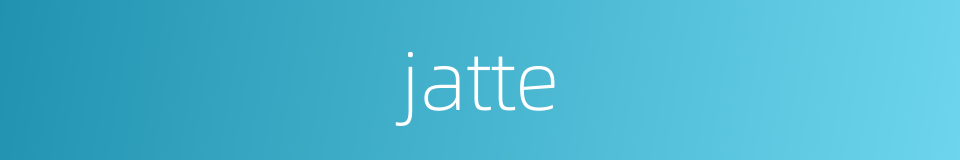 jatte的同义词