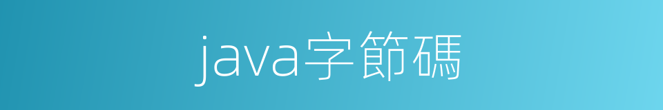 java字節碼的同義詞