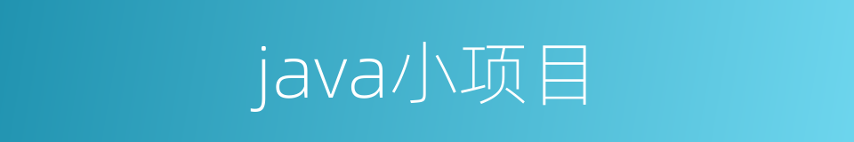 java小项目的同义词