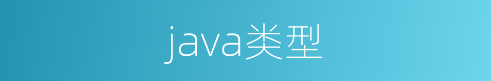 java类型的同义词