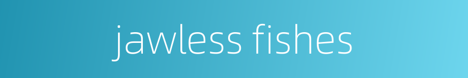jawless fishes的同义词