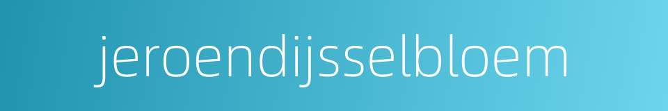 jeroendijsselbloem的同义词