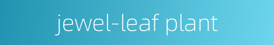 jewel-leaf plant的同义词
