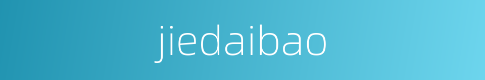 jiedaibao的同义词