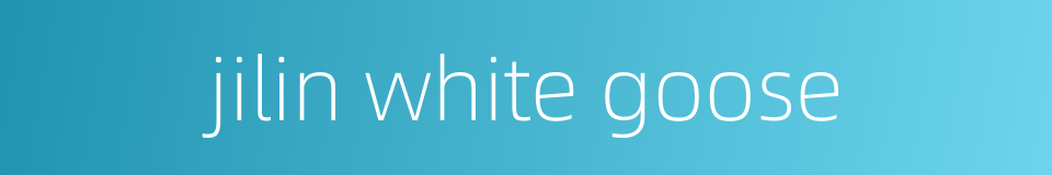 jilin white goose的同义词