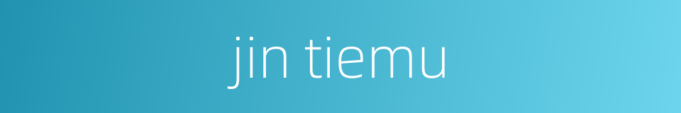 jin tiemu的同义词