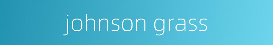 johnson grass的同义词
