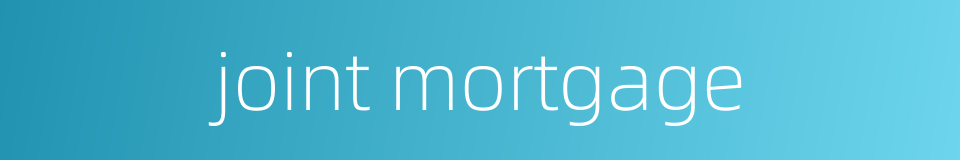 joint mortgage的同义词