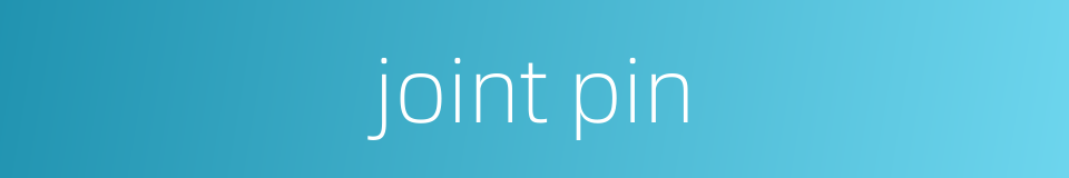 joint pin的同义词