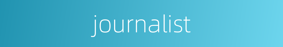 journalist的同义词