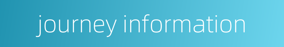 journey information的同义词