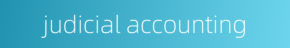 judicial accounting的同义词