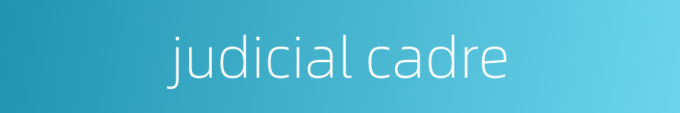 judicial cadre的同义词