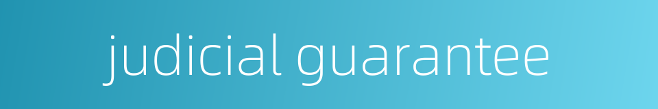 judicial guarantee的同义词