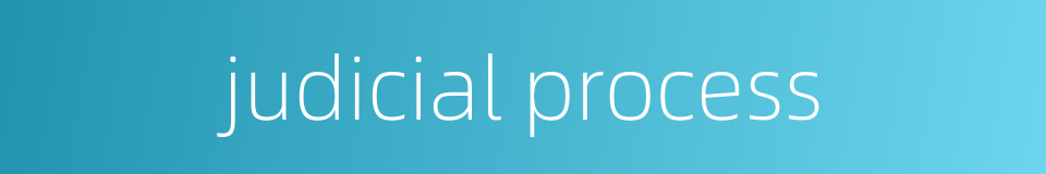 judicial process的同义词