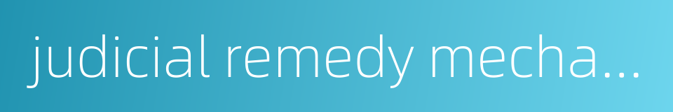 judicial remedy mechanism的同义词